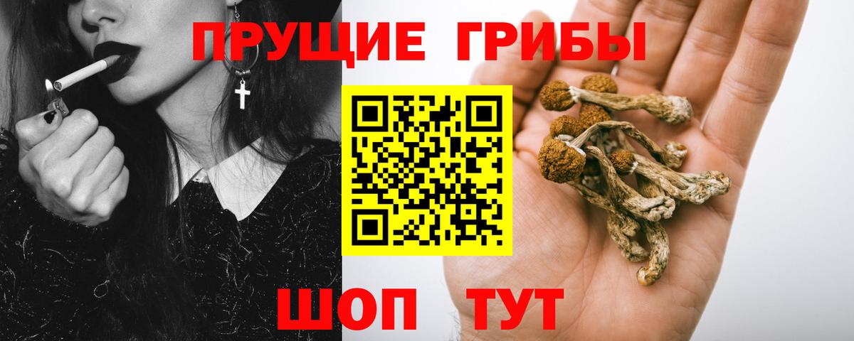 Псилоцибиновые грибы GOLDEN TEACHER Кропоткин
